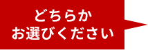 どちらかお選びください